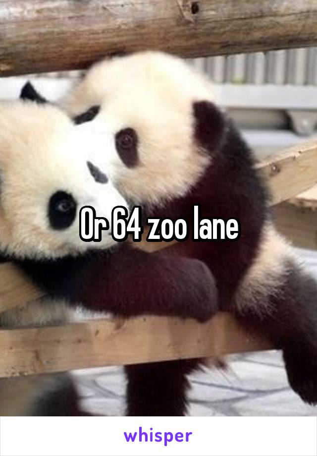 Or 64 zoo lane