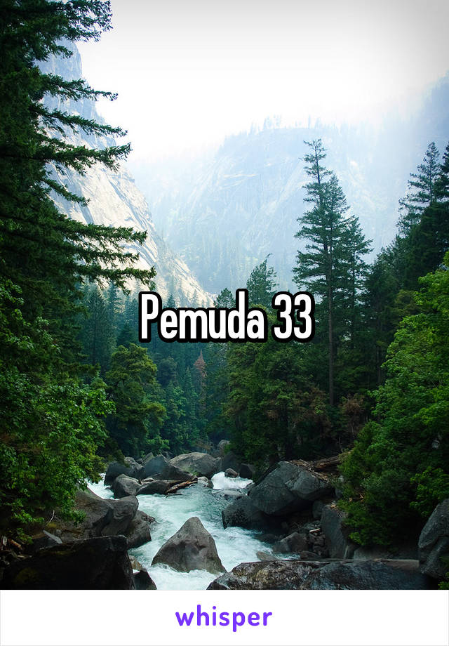 Pemuda 33