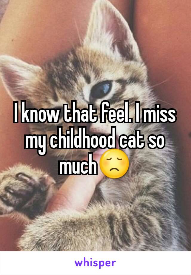 I know that feel. I miss my childhood cat so much😞