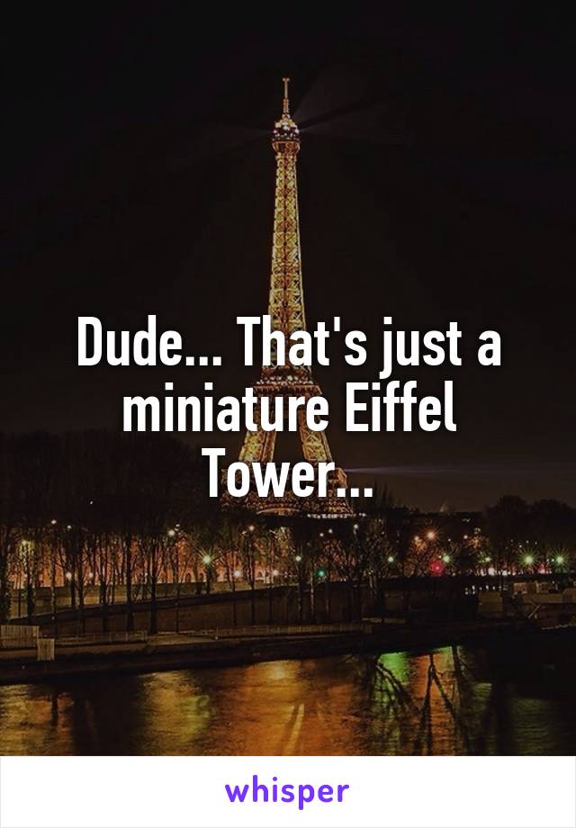 Dude... That's just a miniature Eiffel Tower...