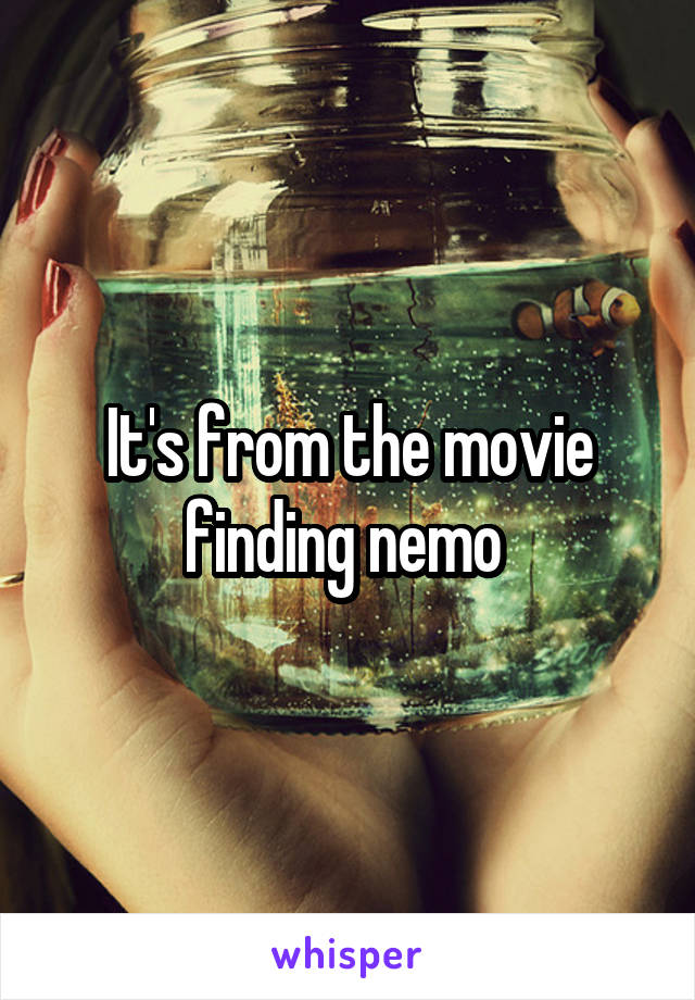 It's from the movie finding nemo 