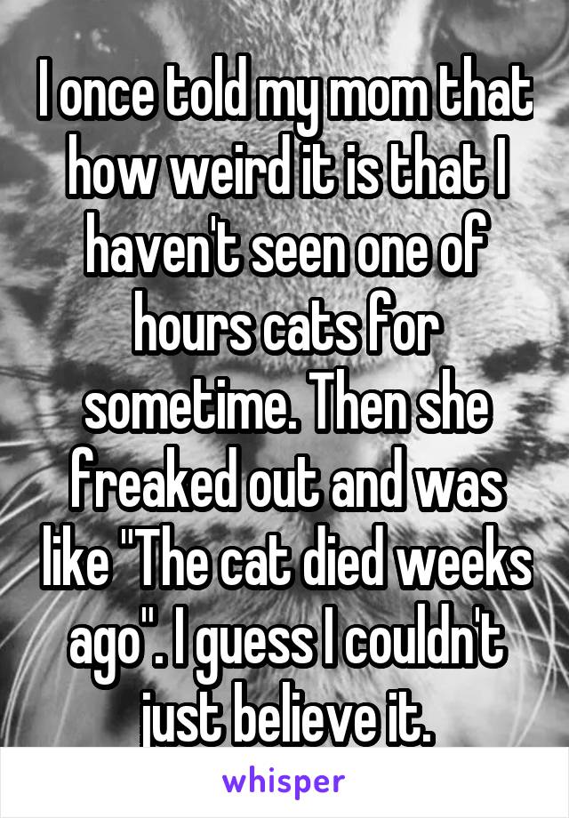 I once told my mom that how weird it is that I haven't seen one of hours cats for sometime. Then she freaked out and was like "The cat died weeks ago". I guess I couldn't just believe it.