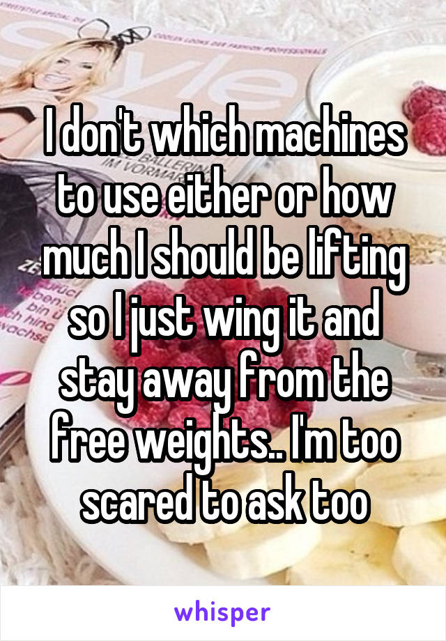 I don't which machines to use either or how much I should be lifting so I just wing it and stay away from the free weights.. I'm too scared to ask too