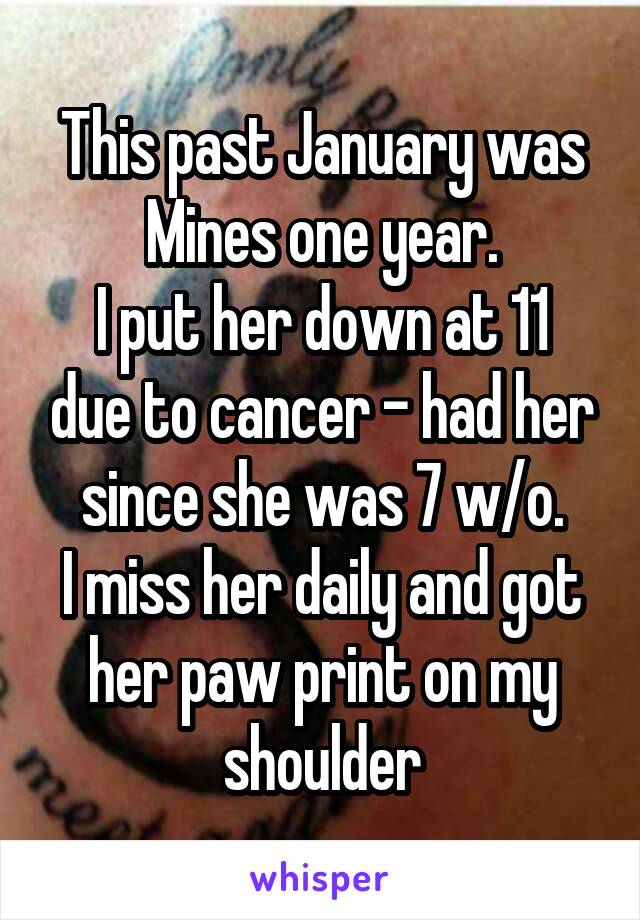 This past January was Mines one year.
I put her down at 11 due to cancer - had her since she was 7 w/o.
I miss her daily and got her paw print on my shoulder