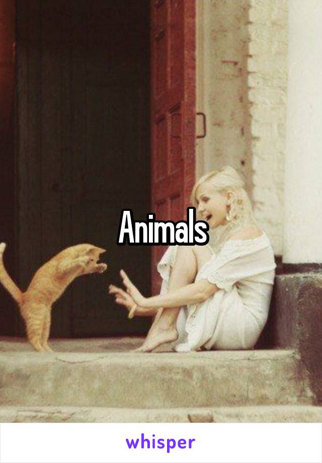 Animals