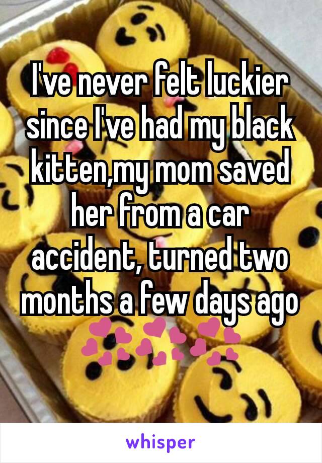 I've never felt luckier since I've had my black kitten,my mom saved her from a car accident, turned two months a few days ago💞💞💞