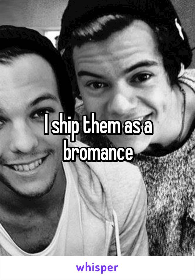 I ship them as a bromance