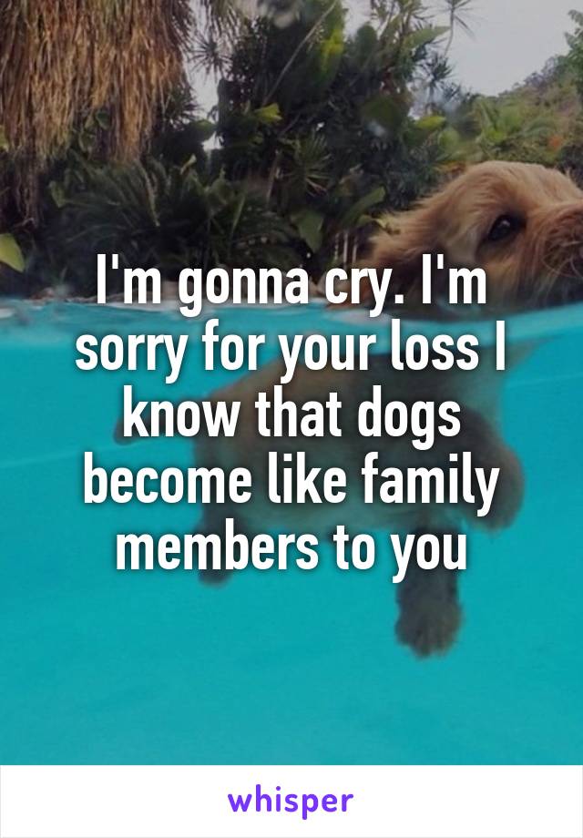 I'm gonna cry. I'm sorry for your loss I know that dogs become like family members to you