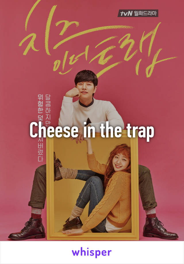 Cheese in the trap