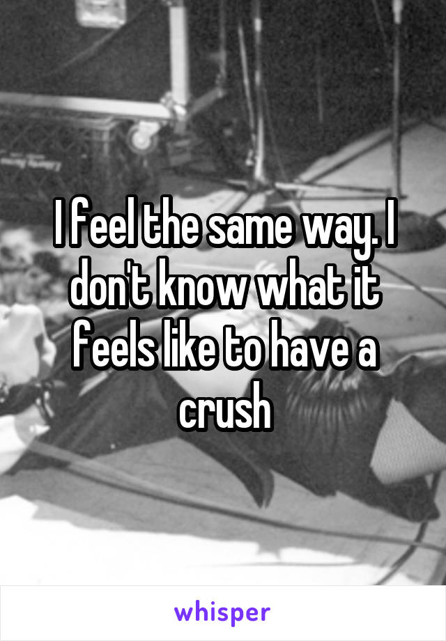 I feel the same way. I don't know what it feels like to have a crush