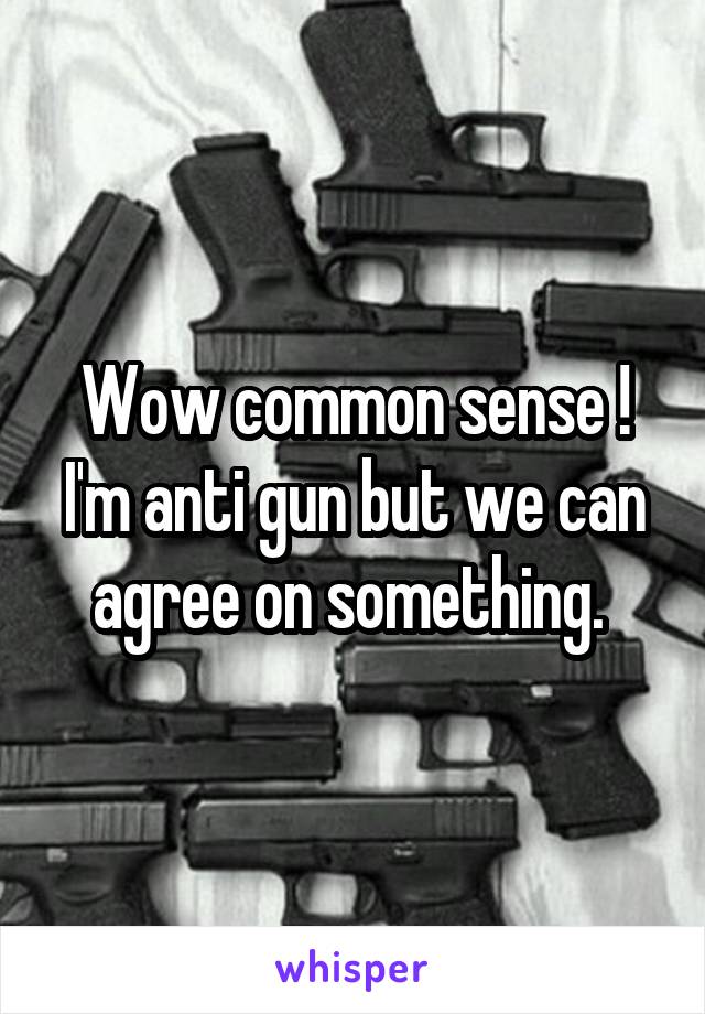 Wow common sense ! I'm anti gun but we can agree on something. 