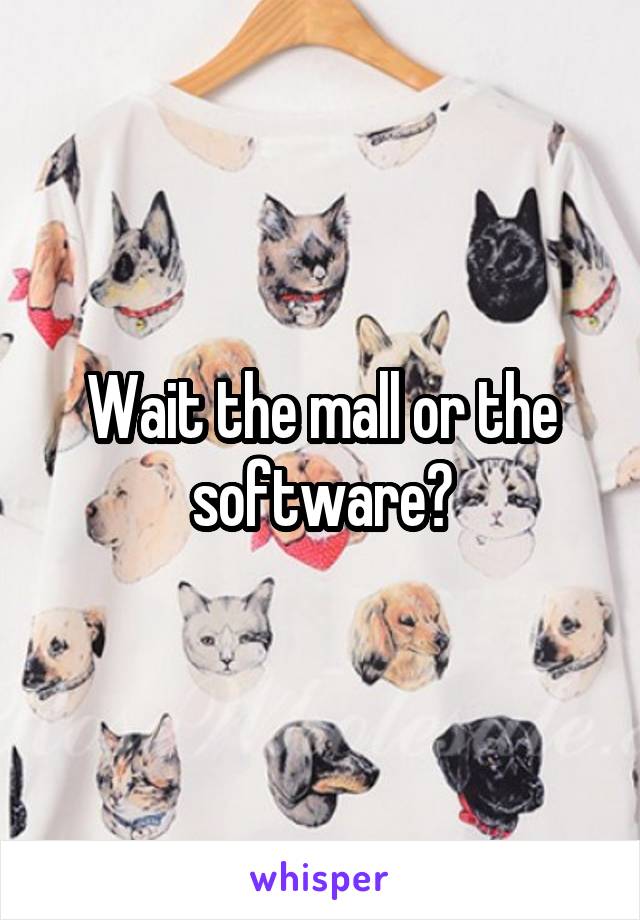 Wait the mall or the software?