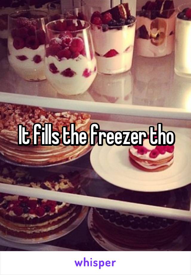 It fills the freezer tho