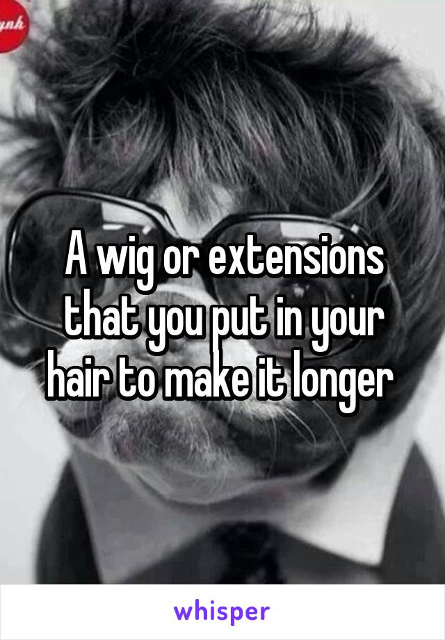 A wig or extensions that you put in your hair to make it longer 