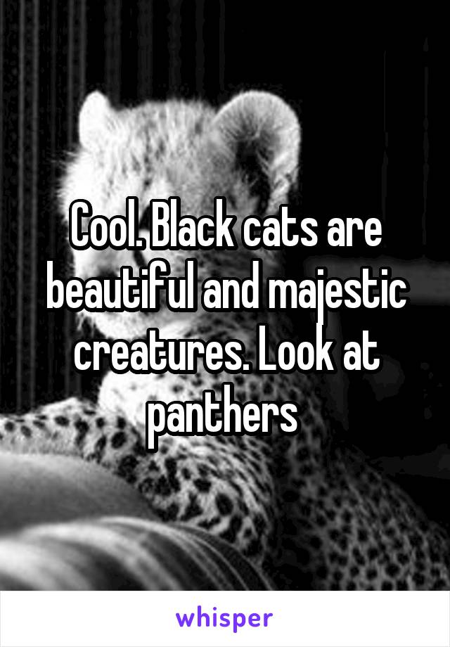 Cool. Black cats are beautiful and majestic creatures. Look at panthers 