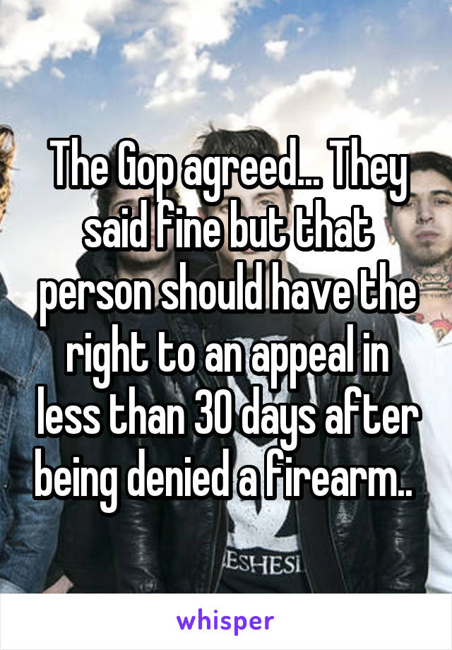 The Gop agreed... They said fine but that person should have the right to an appeal in less than 30 days after being denied a firearm.. 