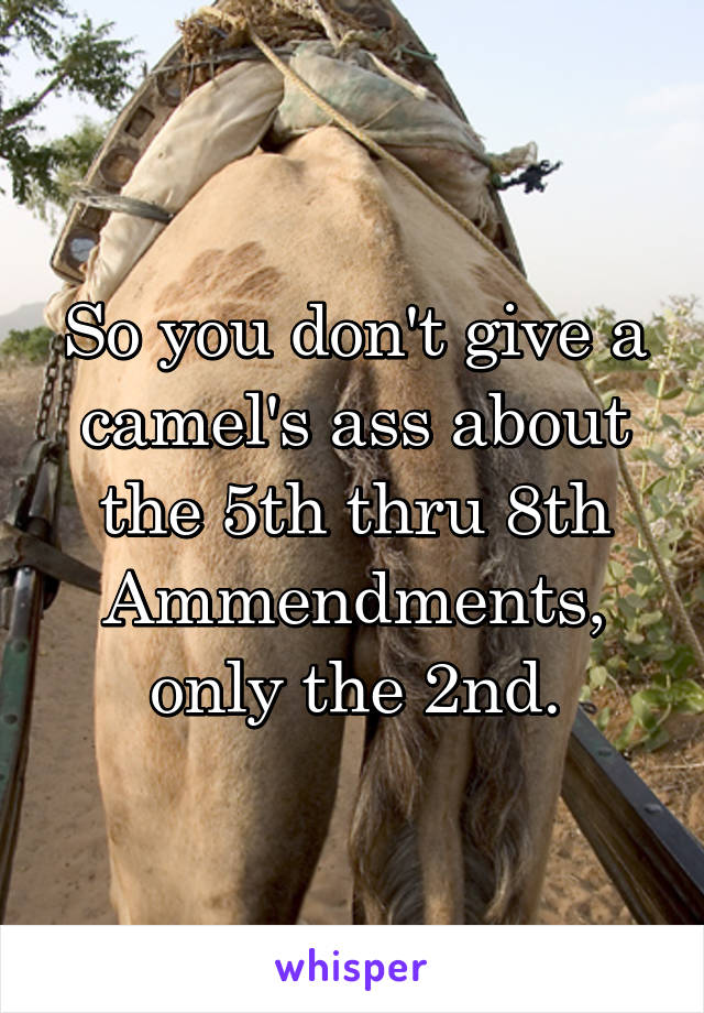 So you don't give a camel's ass about the 5th thru 8th Ammendments, only the 2nd.