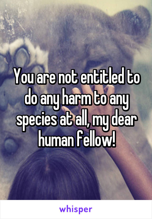 You are not entitled to do any harm to any species at all, my dear human fellow!