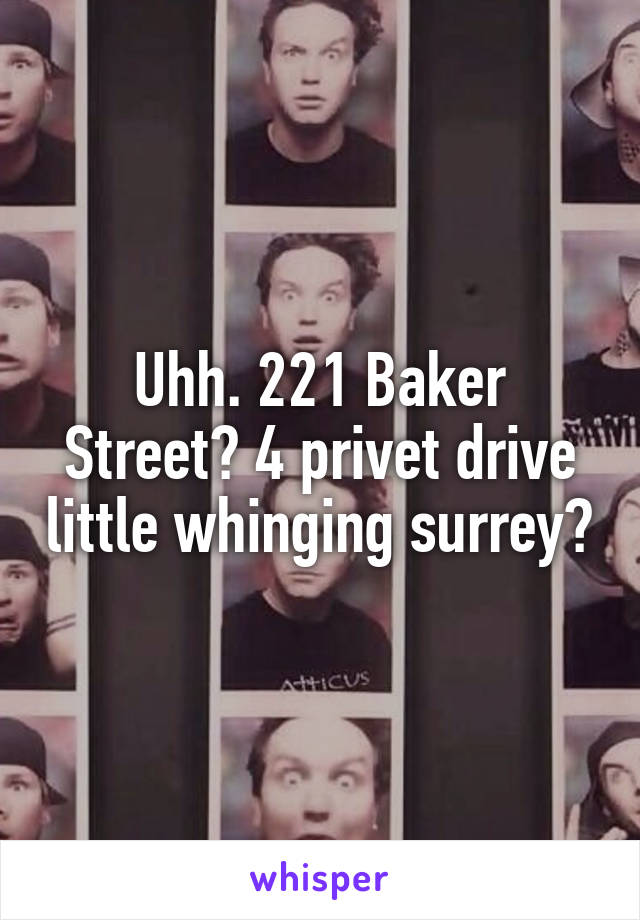 Uhh. 221 Baker Street? 4 privet drive little whinging surrey?