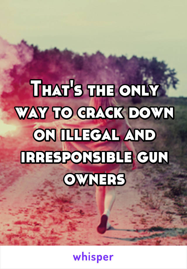 That's the only way to crack down on illegal and irresponsible gun owners