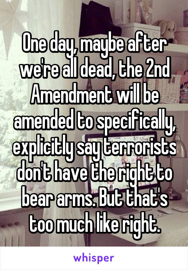 One day, maybe after we're all dead, the 2nd Amendment will be amended to specifically, explicitly say terrorists don't have the right to bear arms. But that's too much like right.