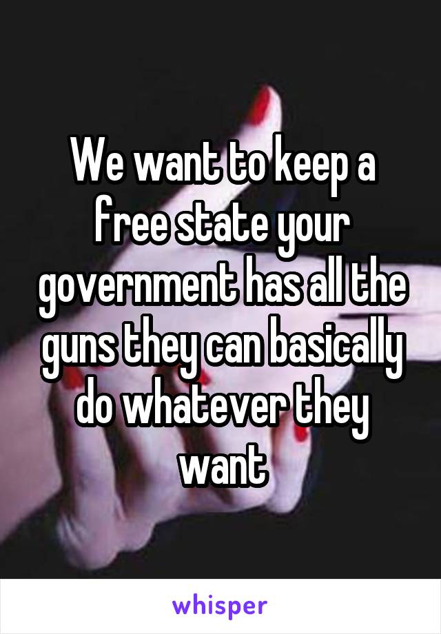 We want to keep a free state your government has all the guns they can basically do whatever they want