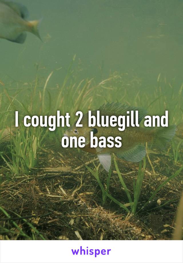 I cought 2 bluegill and one bass