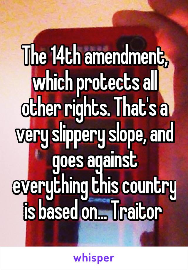 The 14th amendment, which protects all other rights. That's a very slippery slope, and goes against everything this country is based on... Traitor 