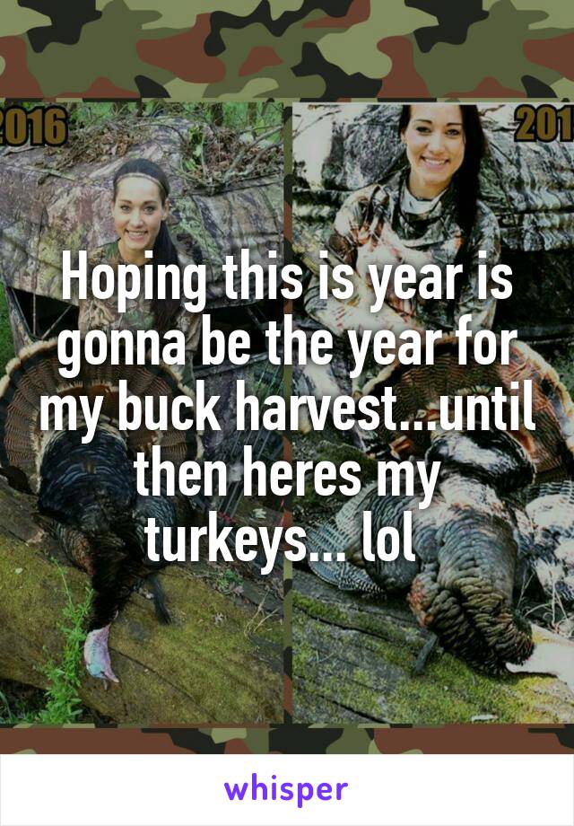 Hoping this is year is gonna be the year for my buck harvest...until then heres my turkeys... lol 