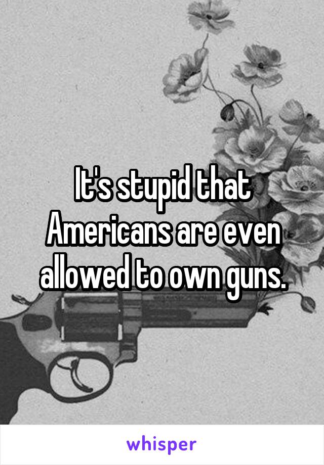 It's stupid that Americans are even allowed to own guns.