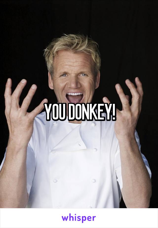 YOU DONKEY!