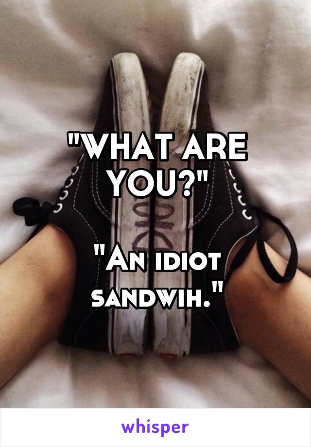 "WHAT ARE YOU?"

"An idiot sandwih."