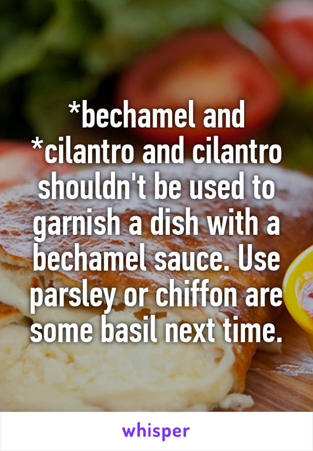 *bechamel and *cilantro and cilantro shouldn't be used to garnish a dish with a bechamel sauce. Use parsley or chiffon are some basil next time.