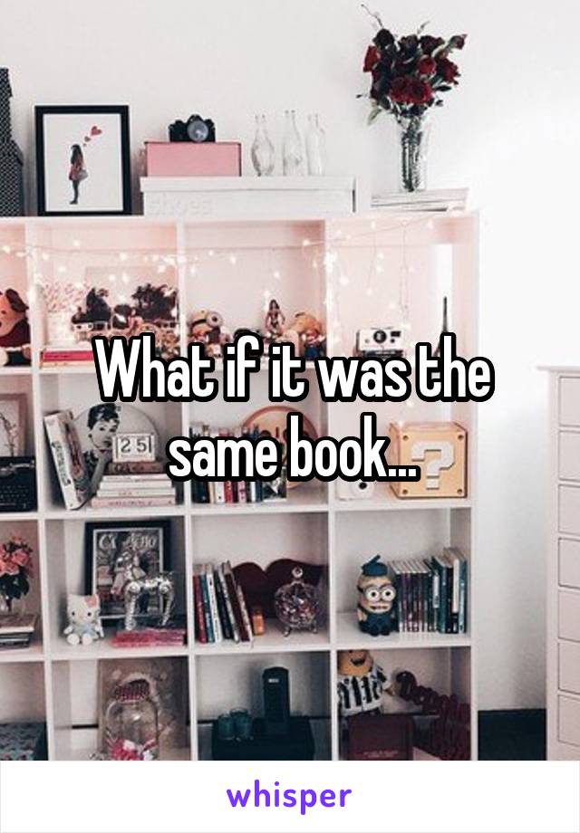 What if it was the same book...