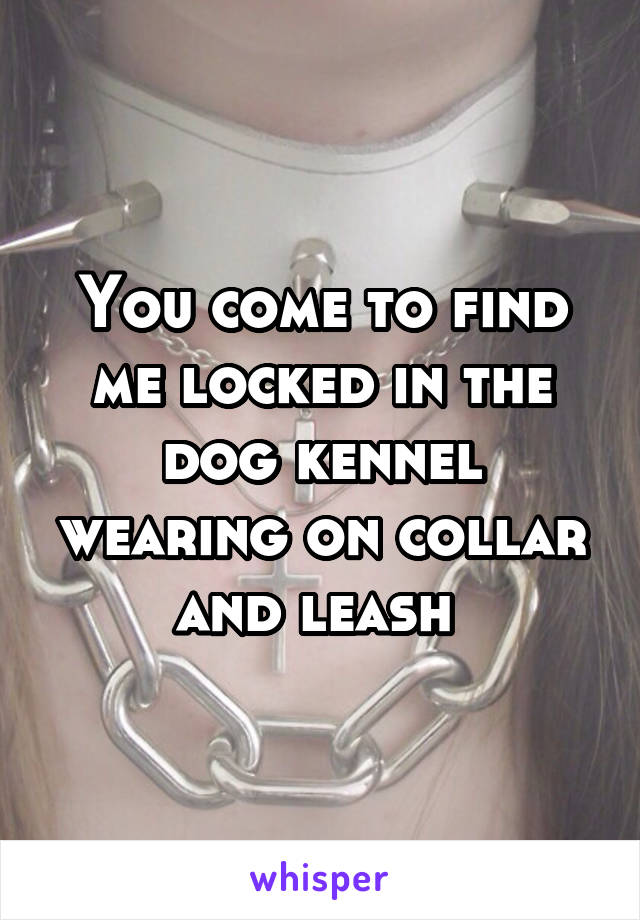 You come to find me locked in the dog kennel wearing on collar and leash 