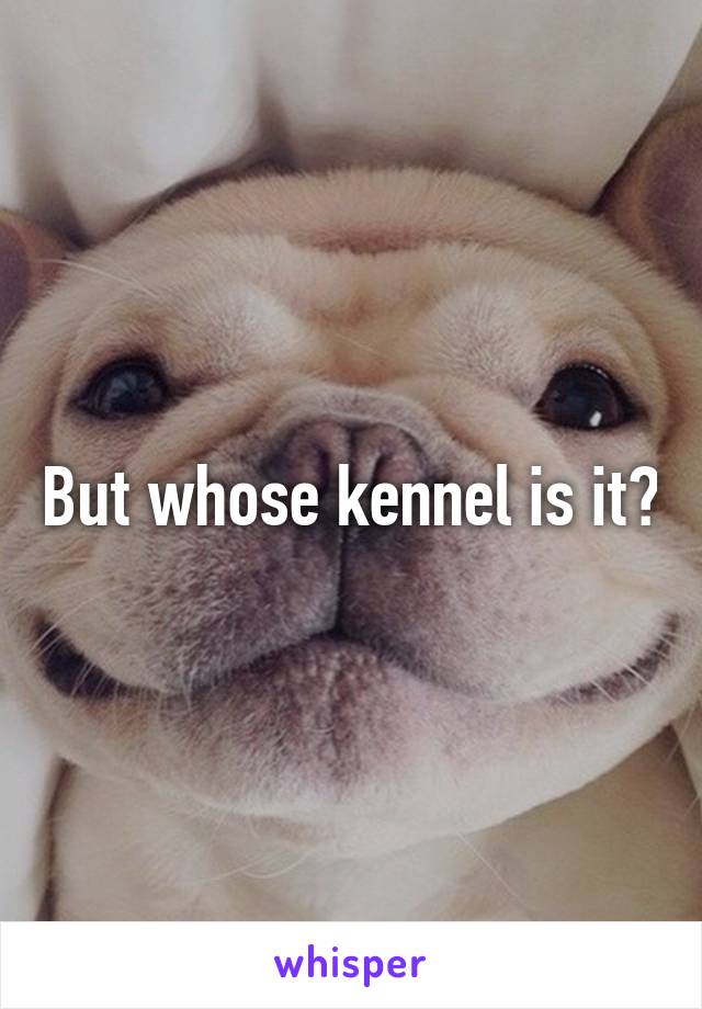 But whose kennel is it?