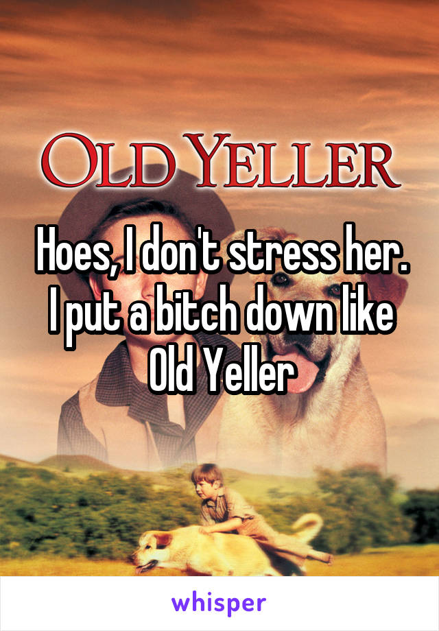 Hoes, I don't stress her. I put a bitch down like Old Yeller