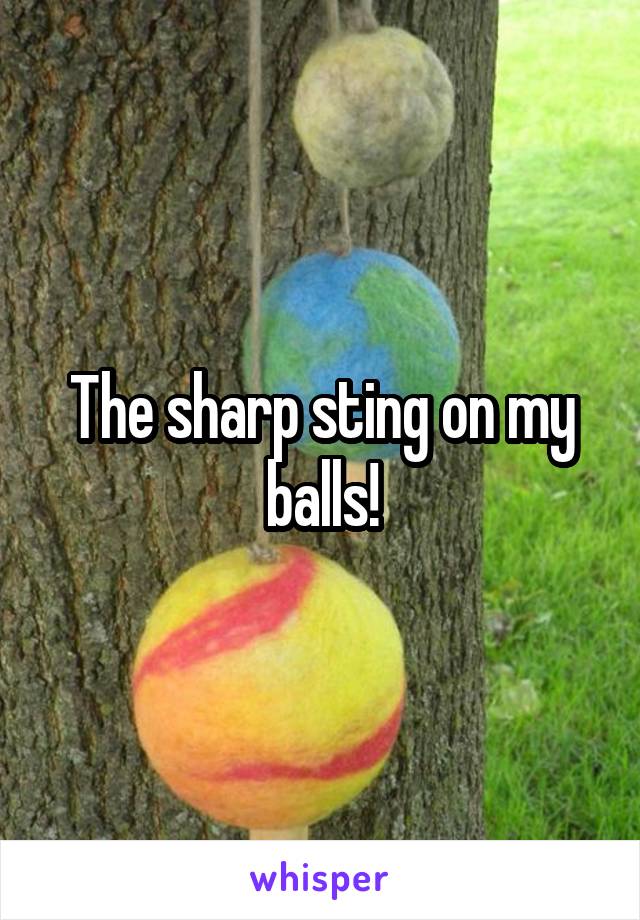 The sharp sting on my balls!