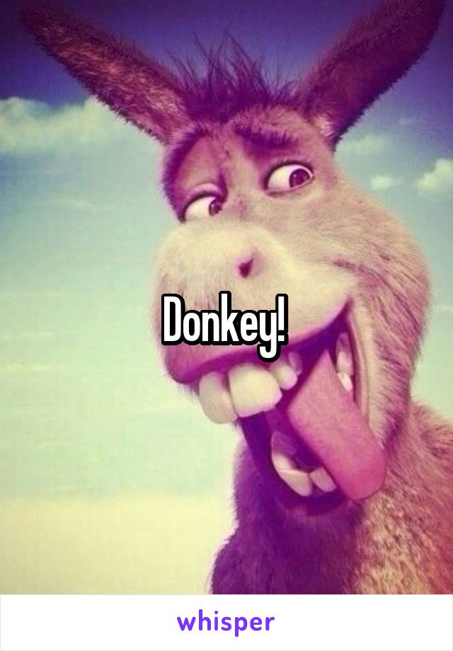 Donkey! 