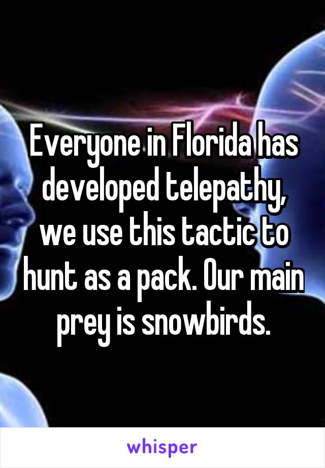 Everyone in Florida has developed telepathy, we use this tactic to hunt as a pack. Our main prey is snowbirds.