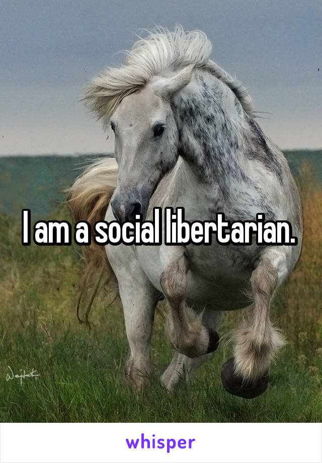 I am a social libertarian. 