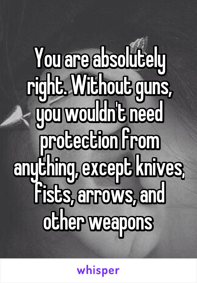 You are absolutely right. Without guns, you wouldn't need protection from anything, except knives, fists, arrows, and other weapons 