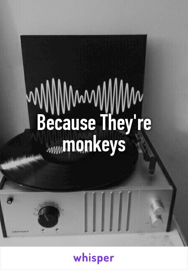 Because They're monkeys