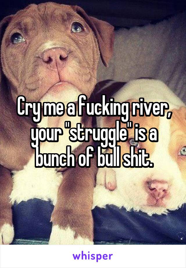 Cry me a fucking river, your "struggle" is a bunch of bull shit.