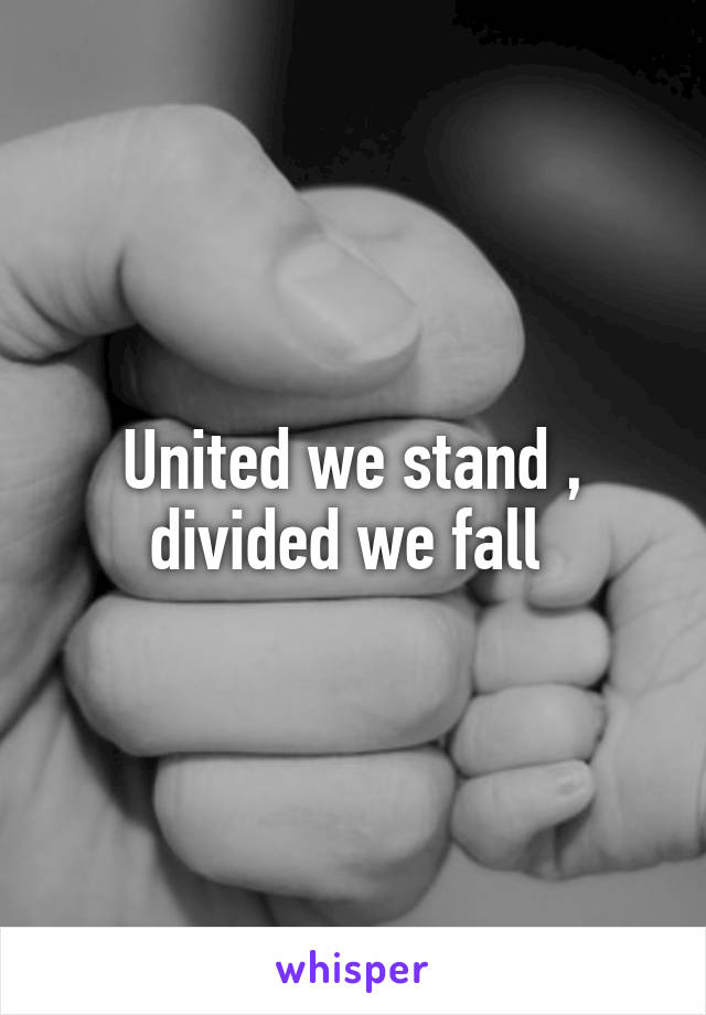 United we stand , divided we fall 