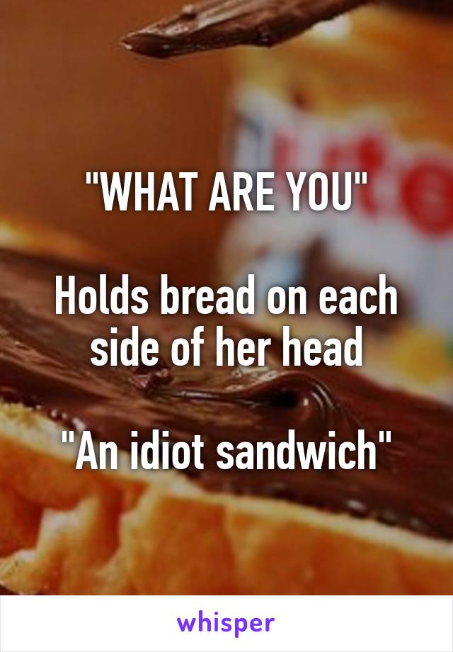 "WHAT ARE YOU"

Holds bread on each side of her head

"An idiot sandwich"