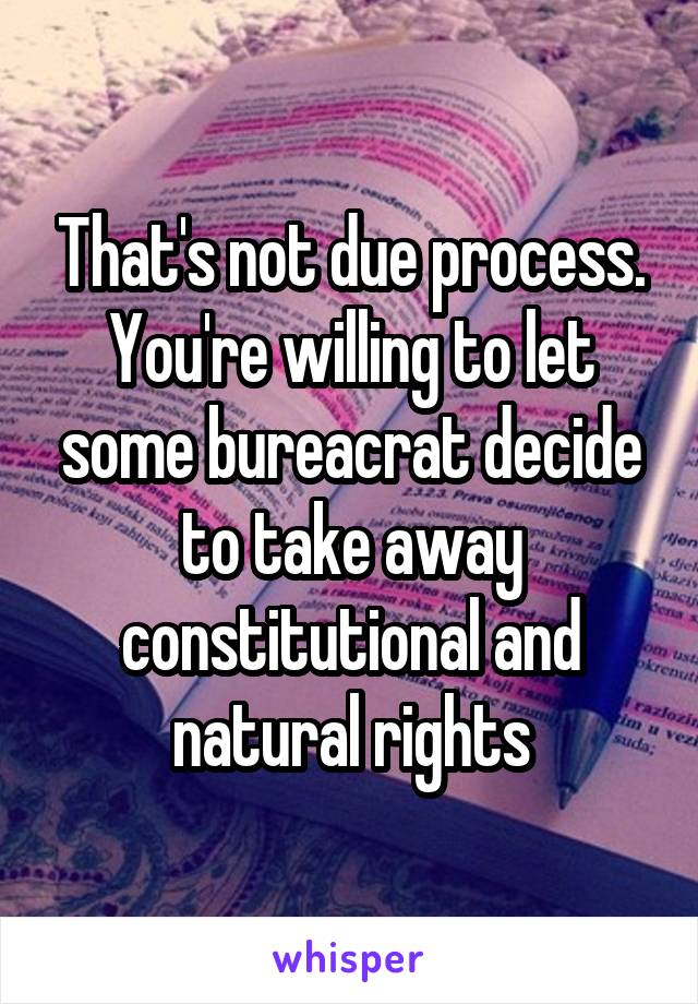 That's not due process. You're willing to let some bureacrat decide to take away constitutional and natural rights