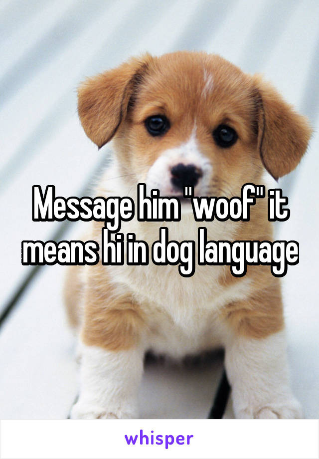 Message him "woof" it means hi in dog language