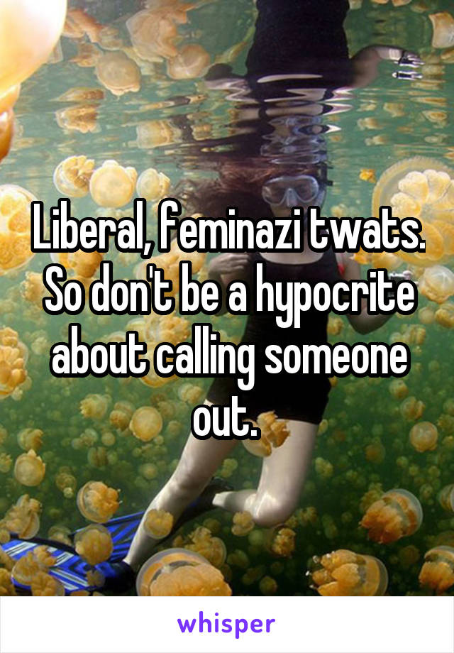 Liberal, feminazi twats. So don't be a hypocrite about calling someone out. 