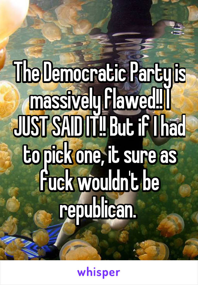 The Democratic Party is massively flawed!! I JUST SAID IT!! But if I had to pick one, it sure as fuck wouldn't be republican. 